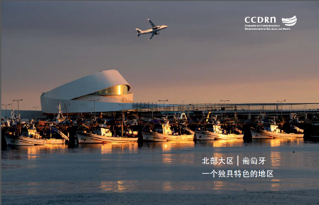 PRESENTATION BROCHURE OF CCDR-N