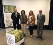 Região Norte compromete-se a defender florestas do sul da Europa