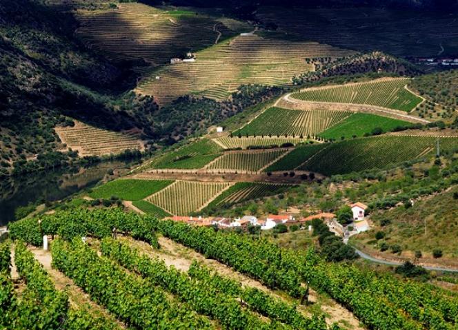 CIMDOURO promove discussão pública do Plano Intermunicipal de Ordenamento do Território do Alto Douro Vinhateiro