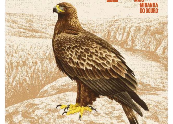 Festival ObservArribas regressa a Miranda do Douro
