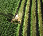 CCDR NORTE participa no processo de apoio aos produtores afetados pela Língua Azul e pelas tempestades Kirk e Dana