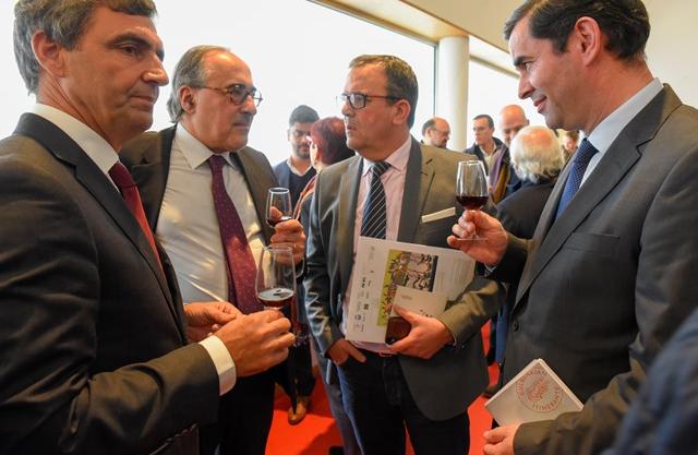 17 Anos Património Mundial