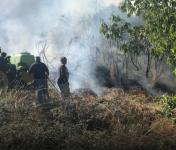 Novos apoios extraordinários para agricultores, apicultores e gestores florestais afetados pelos incêndios rurais