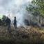 Novos apoios extraordinários para agricultores, apicultores e gestores florestais afetados pelos incêndios rurais