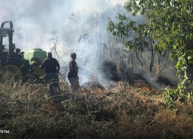 Novos apoios extraordinários para agricultores, apicultores e gestores florestais afetados pelos incêndios rurais