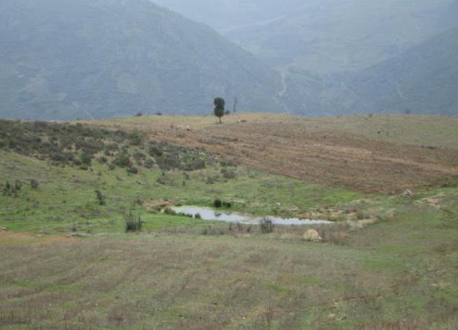 CCDR-N acompanha construção da Barragem do Baixo Sabor