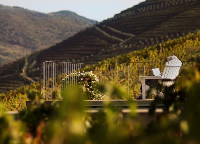 CCDR-N promove sessões de esclarecimento para vitivinicultores e técnicos do setor