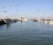 Aprovação do MAISRIS3T impulsiona inovação transfronteiriça na Eurorregião Galiza–Norte de Portugal