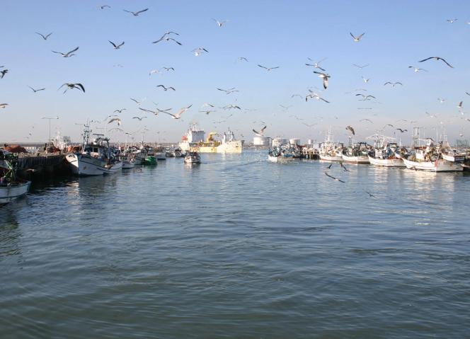 Aprovação do MAISRIS3T impulsiona inovação transfronteiriça na Eurorregião Galiza–Norte de Portugal