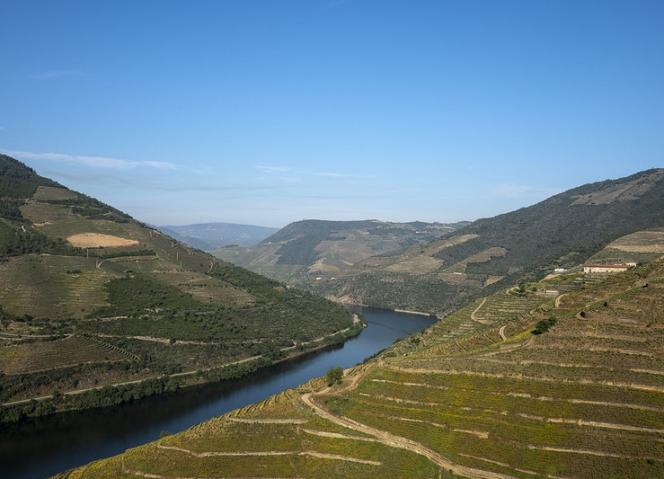 Entrega do Prémio de Arquitetura do Douro 2024 tem lugar a 14 de dezembro