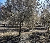 Linha de Apoio à Regeneração, Valorização Turística e Promoção dos Territórios atingidos pelos Incêndios Rurais