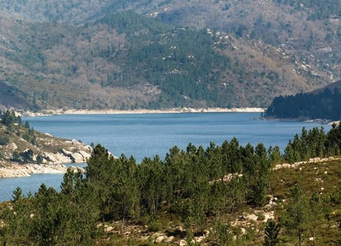 Dinamização da Reserva da Biosfera Transfronteiriça Gerês-Xurés apresentada esta sexta-feira