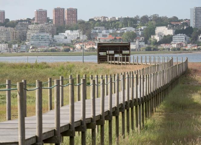 Região Norte com 90% dos PDM revistos