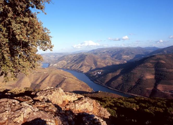 EN222 é a melhor estrada do mundo para conduzir