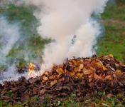 CCDR NORTE disponibiliza formulários para avaliar os prejuízos causados pelos incêndios