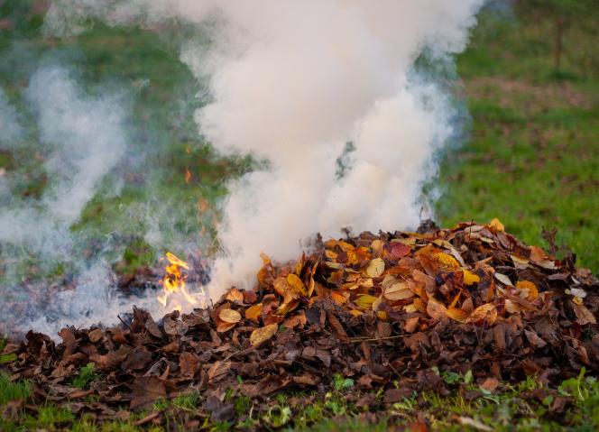 CCDR NORTE disponibiliza formulários para avaliar os prejuízos causados pelos incêndios