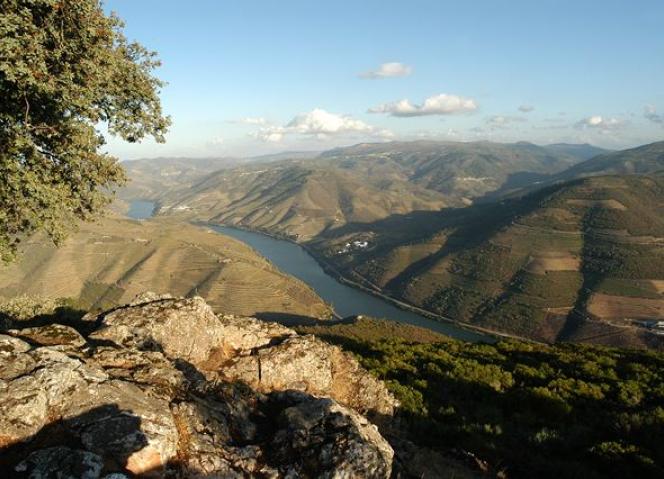 Alto Douro Vinhateiro assinala 15 anos de Património Mundial