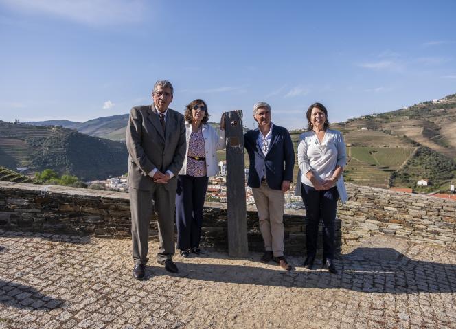 CCDRNORTE lança 2.ª edição do Prémio Vinha Douro para valorizar o trabalho dos viticultores e o seu compromisso com a paisagem