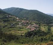 CCDR NORTE e LNEG reforçam cooperação para desenvolvimento regional e apoio à Reserva Ecológica Nacional