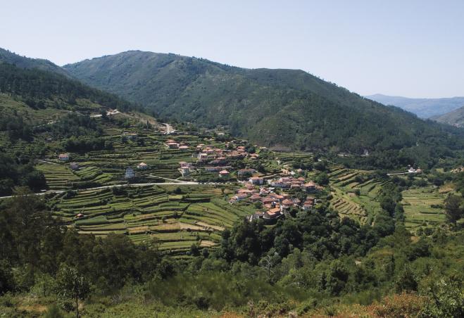 CCDR NORTE e LNEG reforçam cooperação para desenvolvimento regional e apoio à Reserva Ecológica Nac...