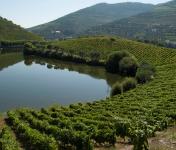 Gestores Ibéricos analisam desafios do turismo sustentável no Alto Douro Vinhateiro