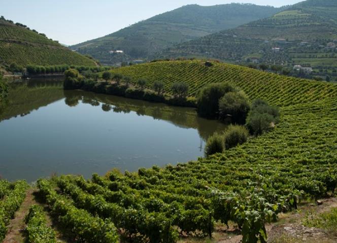 Gestores Ibéricos analisam desafios do turismo sustentável no Alto Douro Vinhateiro