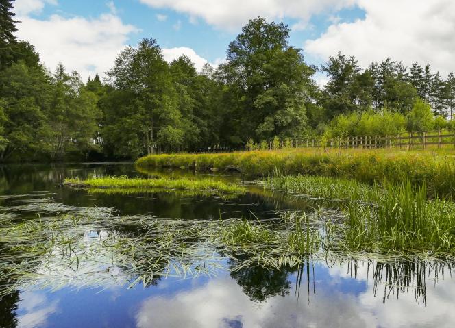 Interreg Next MED lança 2.ª Convocatória para Projetos de Transição Verde