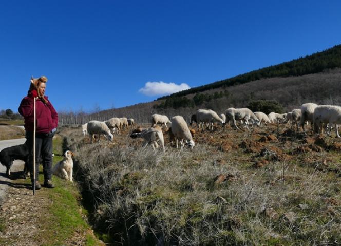 FAO declara região do Barroso património agrícola mundial