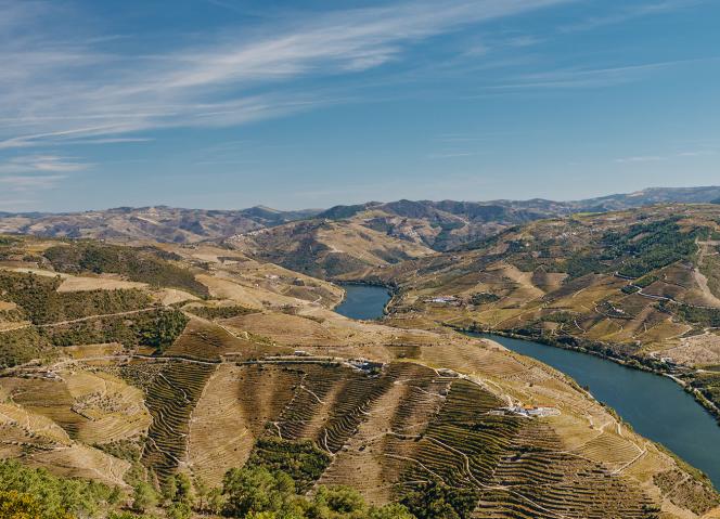 24.º Aniversário do Alto Douro Vinhateiro – Património Mundial