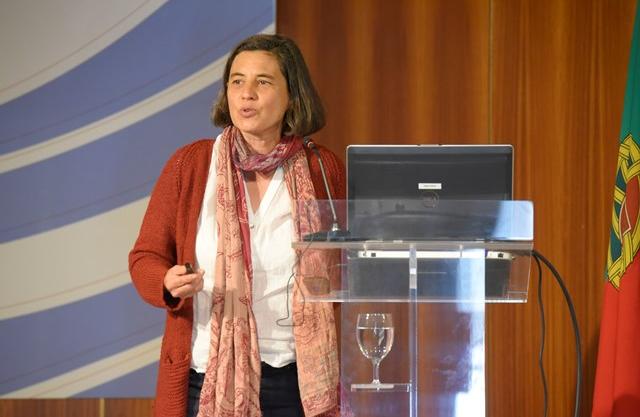 Ana Roque de Oliveira, Investigadora
