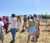 CCDR NORTE partilha experiência na gestão da paisagem  do Alto Douro Vinhateiro