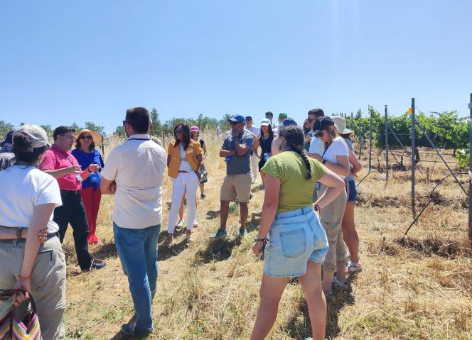 CCDR NORTE partilha experiência na gestão da paisagem  do Alto Douro Vinhateiro