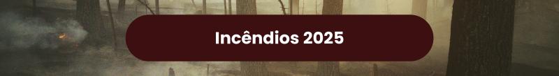 Incêndios 2025