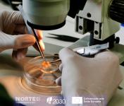 Região do Norte cria plataforma para definir prioridades de promoção da inovação no domínio das Ciências da Vida e da Saúde