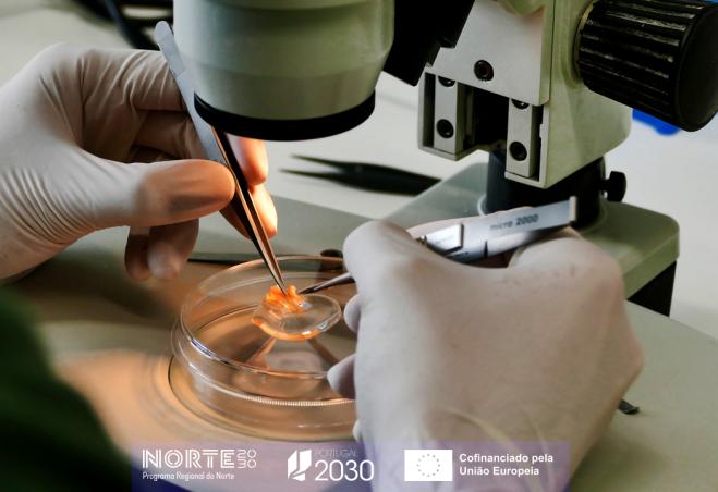 Região do Norte cria plataforma para definir prioridades de promoção da inovação no domínio das Ciê...