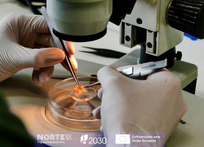 Região do Norte cria plataforma para definir prioridades de promoção da inovação no domínio das Ciências da Vida e da Saúde