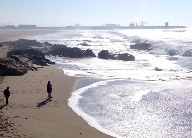 Fórum do Mar 2015 focado na internacionalização de produtos e serviços portugueses