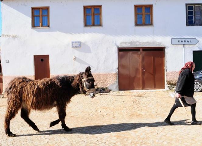 Bragança recebe sessão comemorativa do Dia Mundial de Combate à Desertificação