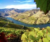 Zona especial de proteção do Douro Património Mundial alterada, com divisão em duas zonas e alívio de restrições na mais afastada