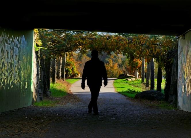 Região Norte discute “Sustentabilidade e Jardins Públicos”