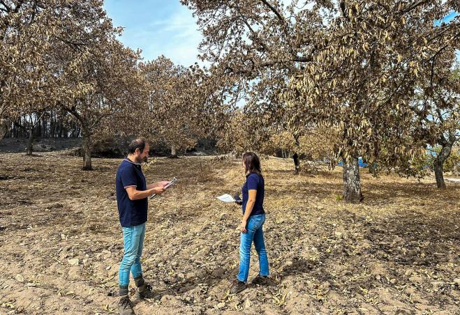 CCDR NORTE já pagou perto de três milhões de euros em apoios excecionais aos agricultores e apicult...