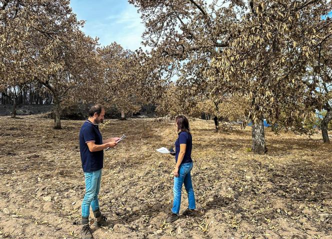 CCDR NORTE já pagou perto de três milhões de euros em apoios excecionais aos agricultores e apicultores afetados pelos incêndios