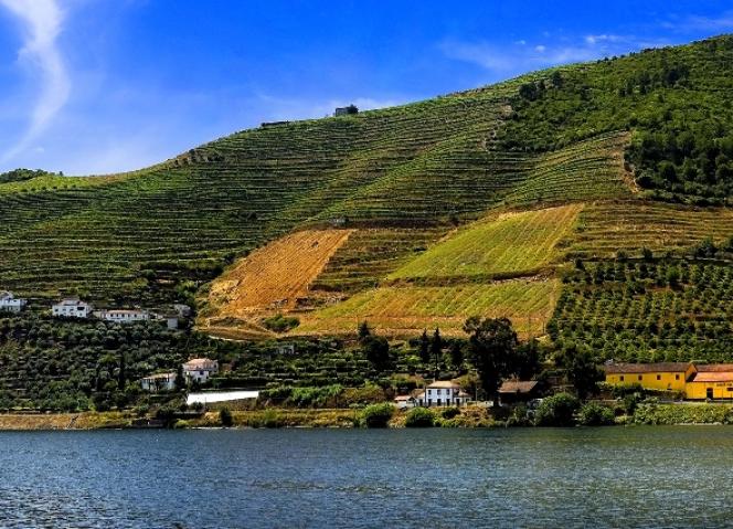 Missão Douro leva Dona Antónia e Barão Forrester à BTL 2017