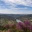 Douro distinguido como "International Wine Region of the Year" nos Wine Enthusiast Wine Star Awards 2025