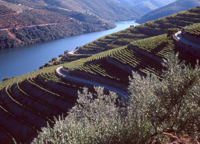 Ministro da Cultura visita Douro Património Mundial