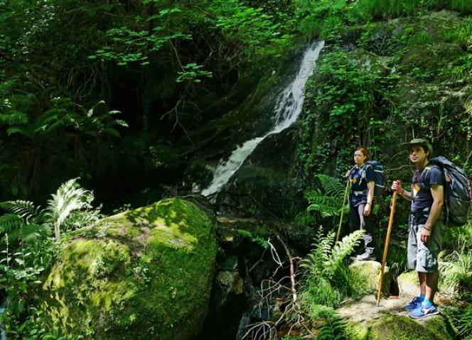 Eurorregião abre caminho para a comemoração do Jacobeu de Santiago de Compostela