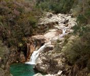 CCDR-N e MIRA FÓRUM inauguram exposição dedicada ao Gerês-Xurés na Galeria da Biodiversidade da UP