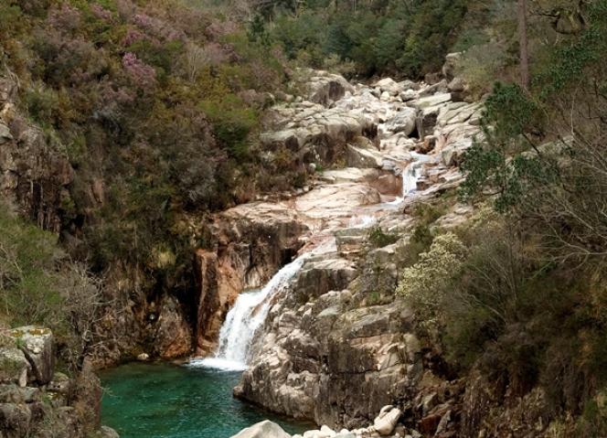 CCDR-N e MIRA FÓRUM inauguram exposição dedicada ao Gerês-Xurés na Galeria da Biodiversidade da UP