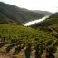 Douro distinguido como "International Wine Region of the Year" nos Wine Enthusiast Wine Star Awards 2025