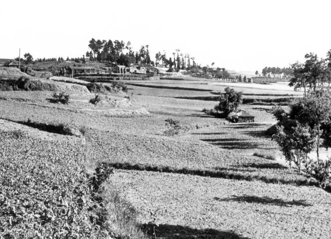 Conferência “Ilídio de Araújo 2025 - A Paisagem de Ontem e de Hoje. A Paisagem Sempre e Para Todos”